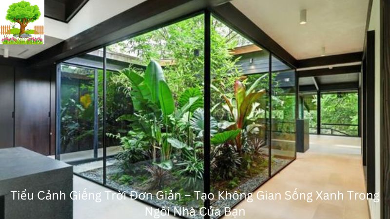 Tiểu Cảnh Giếng Trời Đơn Giản – Tạo Không Gian Sống Xanh Trong Ngôi Nhà Của Bạn